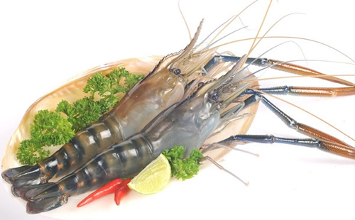 Cách chọn tôm, mực tươi không ngậm hóa chất